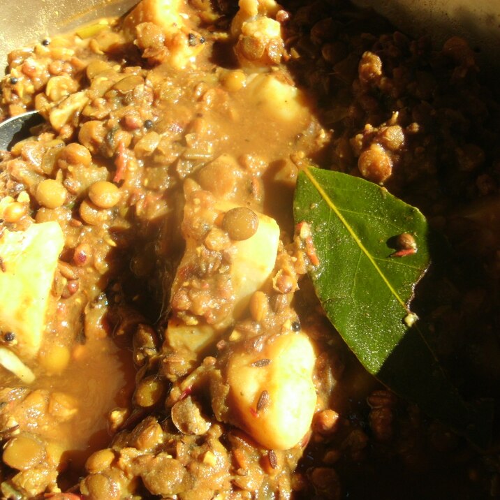 レンズ豆とジャガイモのカレー